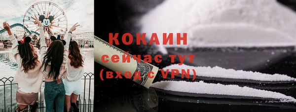 индика Усолье-Сибирское