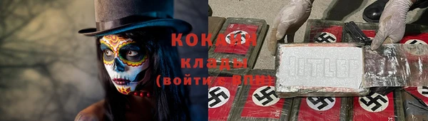 индика Усолье-Сибирское