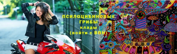 индика Усолье-Сибирское