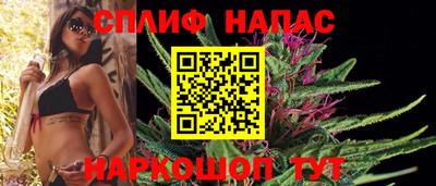 прущие грибы Балаково