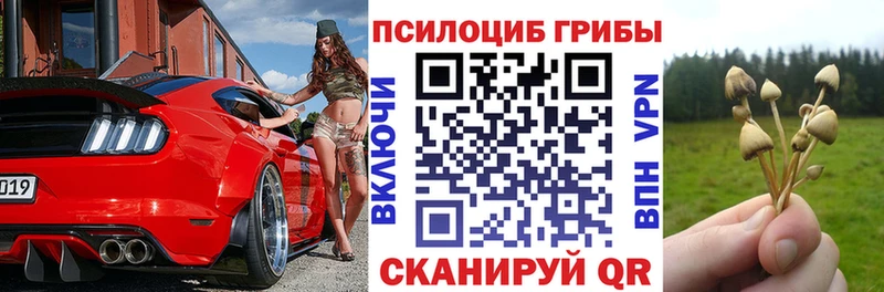 Псилоцибиновые грибы Cubensis купить закладку shop клад Благодарный