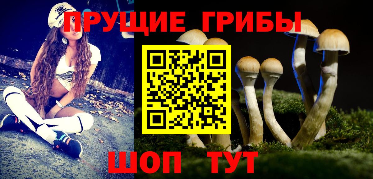 Благодарный  Галлюциногенные грибы MAGIC MUSHROOMS  Вход с VPN 