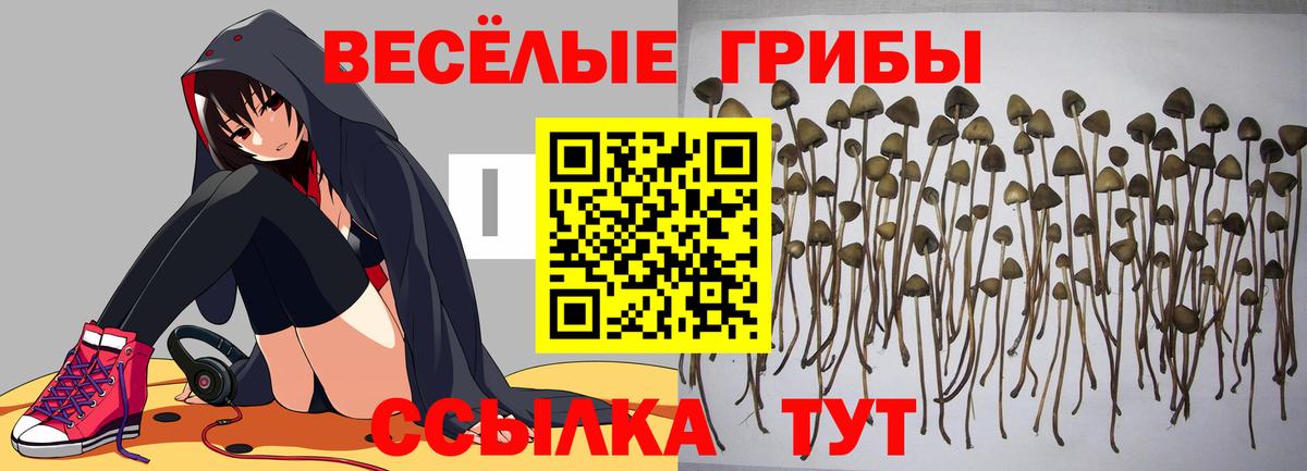 Галлюциногенные грибы ЛСД Благодарный